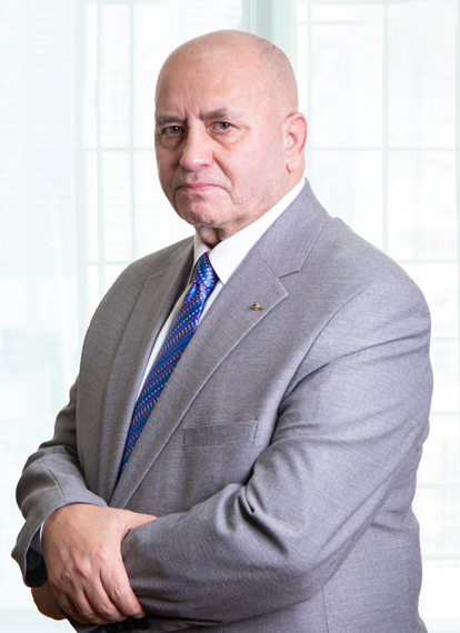 Mohammed Salah Mohammed Salah